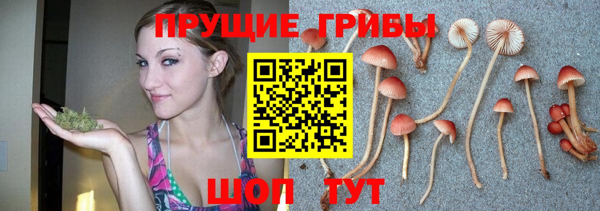 Псилоцибиновые грибы Magic Shrooms Горно-Алтайск